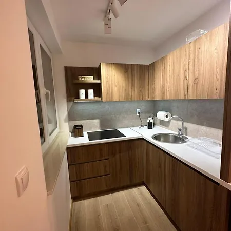 Διαμέρισμα Nova Planina 105 Τζαχορίνα